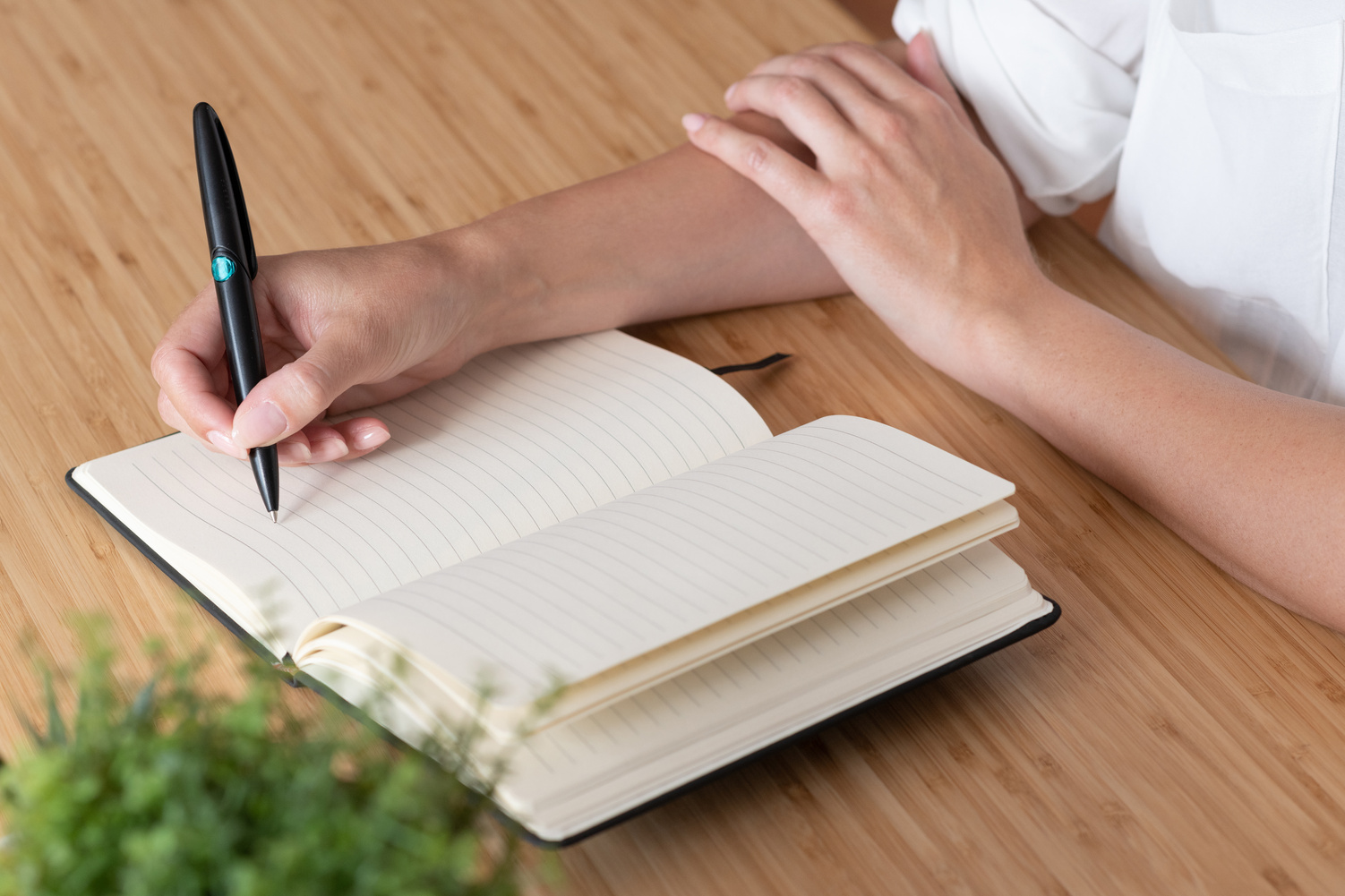 The note book